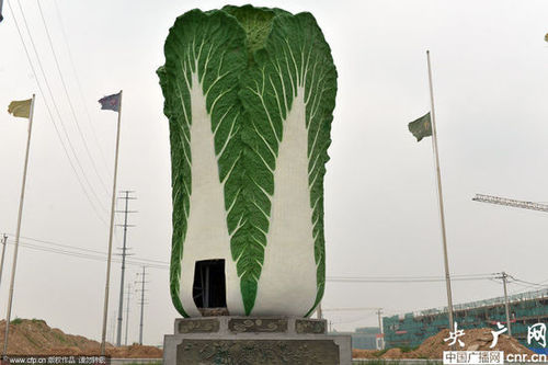 2014年06月16日，位于山東聊城農(nóng)產(chǎn)品物流交易中心北門的巨型“白菜”雕塑，“白菜”雕塑，高9米、直徑5.8米、重3噸，吸引不少市民圍觀。