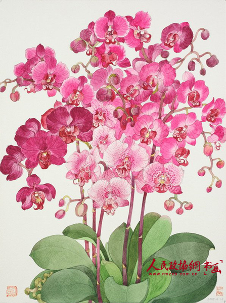 勒杜鵑與蝴蝶，40x69