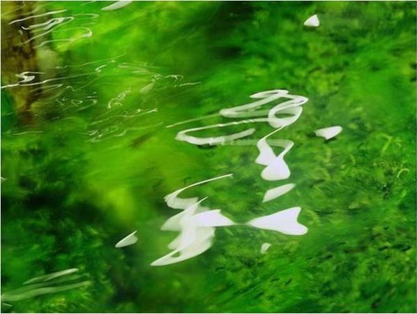 秦玉?！墩嫠废盗袛z影作品