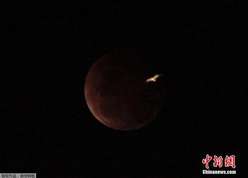 當(dāng)?shù)貢r(shí)間2014年10月8日，澳大利亞悉尼，月全食開(kāi)始出現(xiàn)。