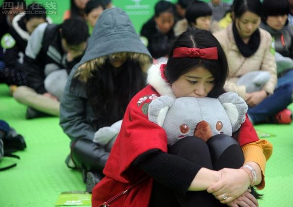 11月18日，首屆全國“發(fā)呆大賽”首站在成都寬窄巷子舉行。2