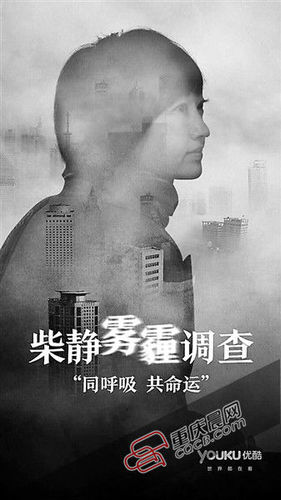 　　紀(jì)錄片《柴靜霧霾調(diào)查：穹頂之下》海報。
