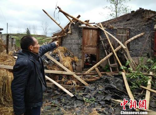 　廣安市武勝縣三溪、飛龍等鄉(xiāng)鎮(zhèn)境內(nèi)遭受狂風(fēng)、雷電、冰雹災(zāi)害老百姓房屋被狂風(fēng)吹垮。（王爵攝）