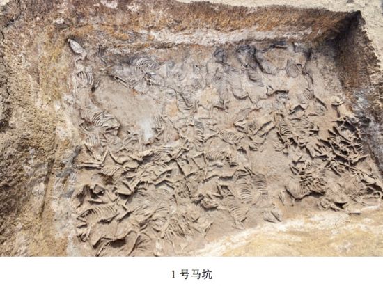圖片來源于國家文物局官方微博@中國文博 新浪收藏配圖 圖片來源于國家文物局官方微博@中國文博 新浪收藏配圖