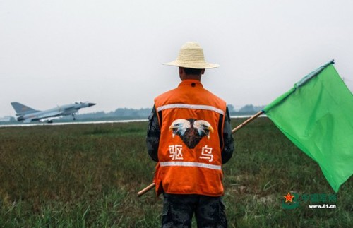 不是所有空軍都駕駛戰(zhàn)機(jī)飛翔在天空，比如地上的驅(qū)鳥(niǎo)兵，他們默默無(wú)聞保護(hù)戰(zhàn)機(jī)起飛不受飛鳥(niǎo)影響。張鵬炎 攝
