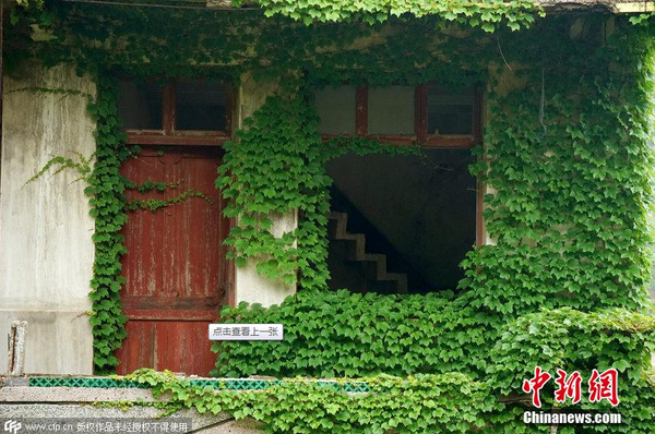 2015年5月31日，浙江舟山一個(gè)無人居住的荒村，村落荒蕪，許多無人居住的房屋逐漸被大自然侵蝕，布滿爬墻虎，宛如綠色童話世界。圖片來源：CFP視覺中國1