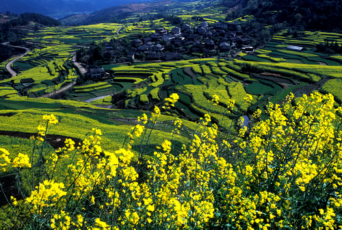 1.5王愛(ài)山（水母溪）