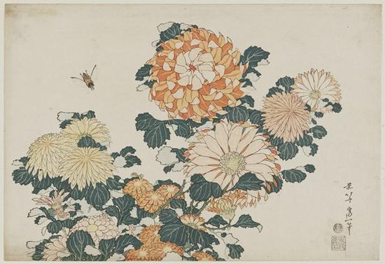 《菊花和馬蠅》，出自未命名的大型花卉系列 作者：葛飾北齋，年份：約1833-34年（Tenp? 4–5）  類別：浮世繪；紙本彩墨* William Sturgis Bigelow Collection* 圖片： ? Museum of Fine Arts, Boston