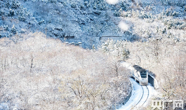 昌平區(qū)居庸關(guān)長(zhǎng)城風(fēng)景區(qū)周邊山崗銀裝素裹，陣陣?yán)滹L(fēng)擋不住雪后美景。一列“雪國(guó)列車”穿越居庸關(guān)，如一條“銀蛇”美到窒息。