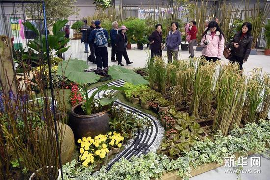 12月5日，觀眾在臺北舉行的2015園藝景觀及綠屋頂設計大展上觀看“田園交響曲”園藝景觀。