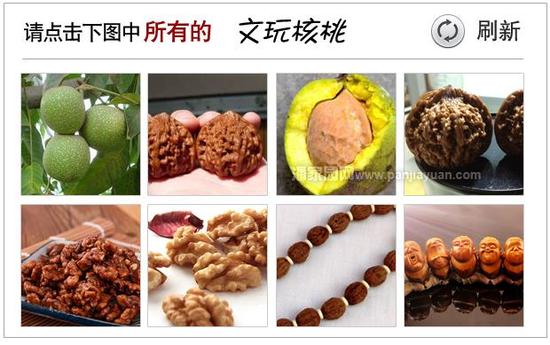 驗證碼錯誤，請看正確答案！