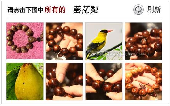 驗證碼錯誤，請看正確答案！