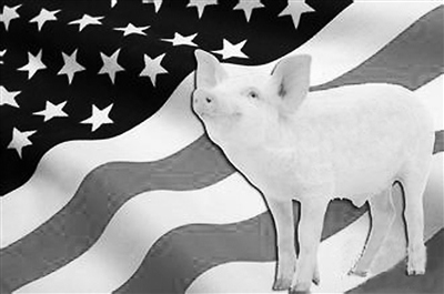 瘦肉精引發(fā)口水戰(zhàn)“英倫”斗法為何拿美豬開刀？