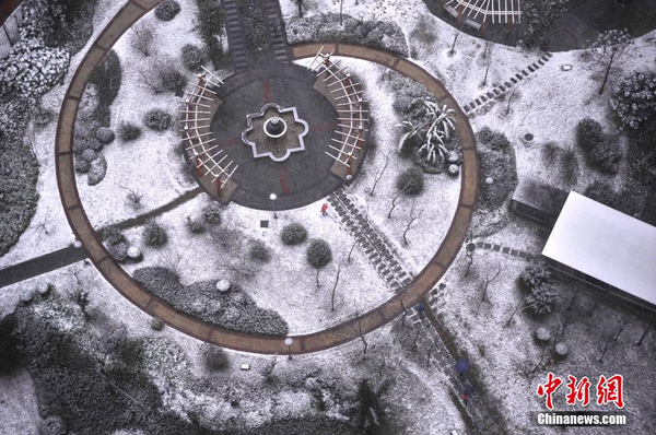 1月23日，重慶主城區(qū)迎來(lái)罕見(jiàn)大雪天氣，一小區(qū)綠化帶變成了白茫茫的雪地。圖為一小區(qū)綠化地積起了白雪。 陳超 攝