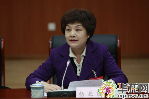 提案牽頭單位民建重慶市委介紹提案情況。