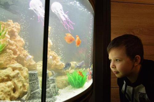 俄8歲男孩給普京寫信 意外得到一箱觀賞魚(圖)