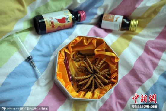 資料圖：冬蟲夏草。 圖片來源：CFP視覺中國