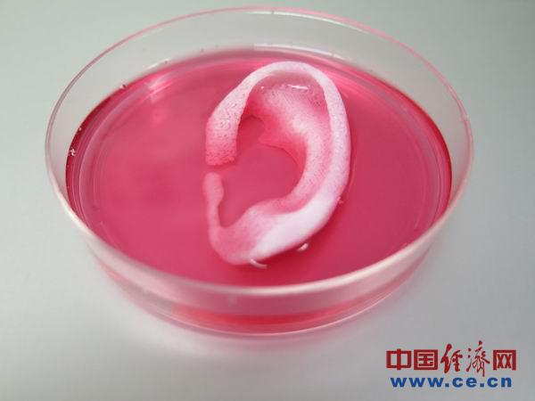 點擊進(jìn)入下一頁