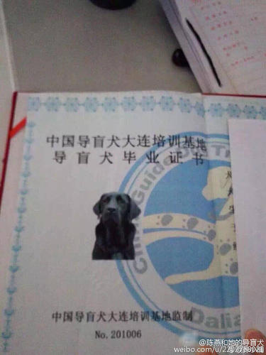 記者獲悉，公安部門正在全力調(diào)查中。圖為喬喬的畢業(yè)證。