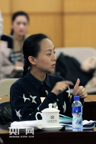 邰麗華通過(guò)翻譯表述了自己的建議