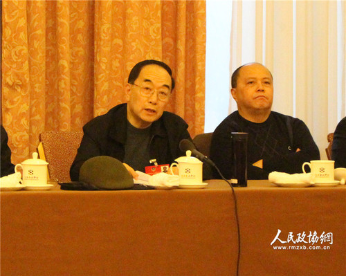 全國政協(xié)委員葉紹蘭在小組會議上講話。