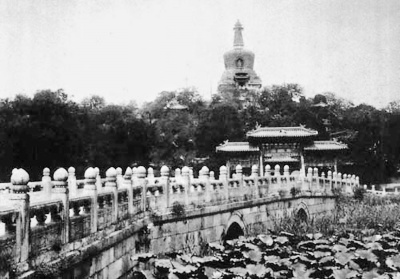 點(diǎn)擊進(jìn)入下一頁