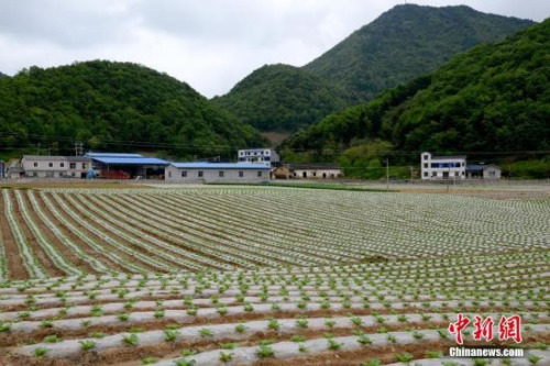 資料圖。劉洪進(jìn) 攝