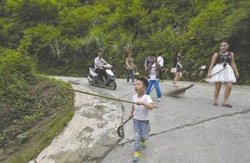 都江堰上百條放生蛇“上街”，