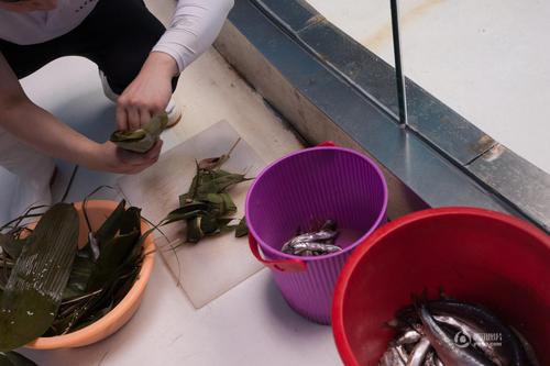 飼養(yǎng)員滿玉忠為了讓海獅過一個快樂的“端午節(jié)”，用許多魚肉做成肉餡，包在粽子葉里。