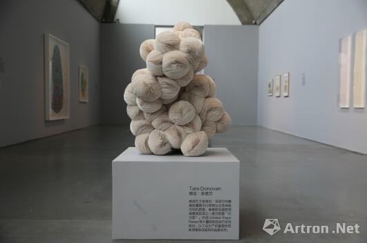 畫(huà)廊展覽現(xiàn)場(chǎng)