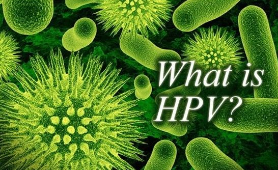 付虹：HPV感染會導(dǎo)致不孕需斥巨資治療？