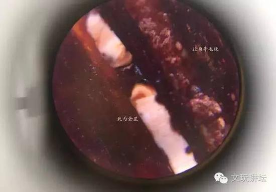 這是真金星和牛毛紋的對比，牛毛紋為一種霧化狀，而金星是充實感