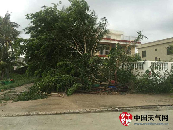 臺風“銀河”襲海南海陸交通受阻 風雨明天結(jié)束