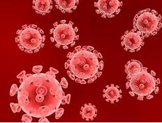 根治HIV等病毒感染 我國科學(xué)家取得突破