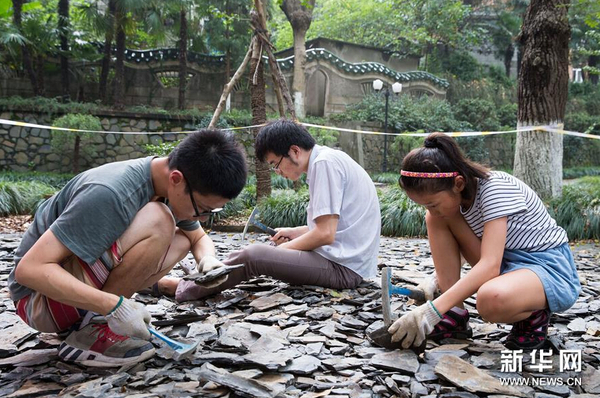 8月21日，市民在南京古生物博物館參加“砸化石”活動。1