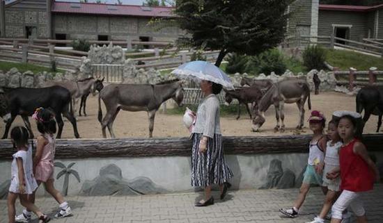 朝鮮平壤動(dòng)物園里啥模樣？“狗屋”是最熱門景點(diǎn)