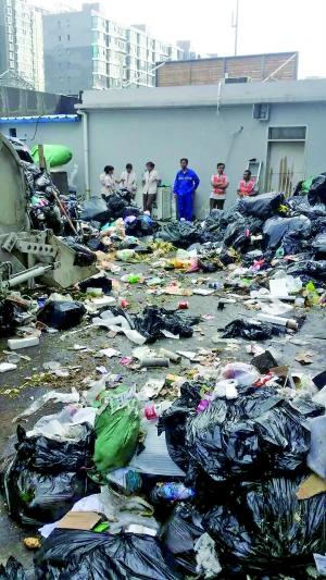 小區(qū)隔壁垃圾站 居民被熏5年
