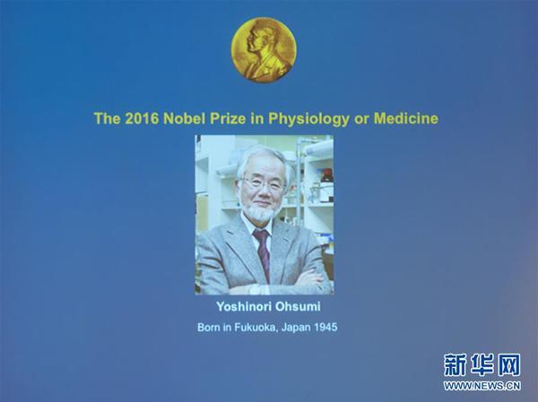 10月3日，在瑞典斯德哥爾摩，獲得2016年諾貝爾生理學(xué)或醫(yī)學(xué)獎(jiǎng)的日本科學(xué)家大隅良典的肖像在新聞發(fā)布會(huì)上展示。瑞典卡羅琳醫(yī)學(xué)院3日宣布，日本科學(xué)家大隅良典獲得2016年諾貝爾生理學(xué)或醫(yī)學(xué)獎(jiǎng)，以表彰他在細(xì)胞自噬機(jī)制研究中取得的成就。新華社發(fā)（石天晟攝）