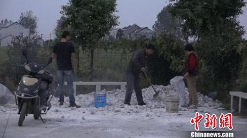 南京眼鏡蛇逃逸曝光40小時：當?shù)鼐用窦壹覒魬羰曳忾T窗