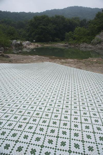 王衛(wèi)，山中自然史四，地面馬賽克，2016