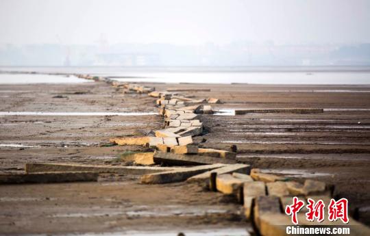 　　“千眼橋”位于鄱陽湖都昌縣多寶鄉(xiāng)至廬山市的湖床上，曾經(jīng)是兩地民眾冬季便捷往來的要道，遠處依稀可見城市的輪廓。12月23日攝 傅建斌 攝