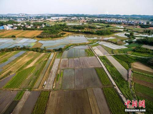 圖為航拍廣西柳州市柳北區(qū)沙塘鎮(zhèn)耕地，五彩繽紛。 黃威銘 攝