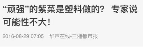 你可能吃到了塑料做的假紫菜？真相是……