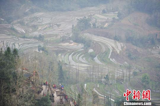 大霧中的世界遺產(chǎn)哈尼梯田。　劉冉陽(yáng) 攝