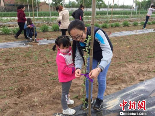 熊家廟辦事處女干部張海艷在春季農(nóng)業(yè)生產(chǎn)時(shí)帶著孩子幫助農(nóng)民為新栽樹苗定枝?！『钪拘?攝