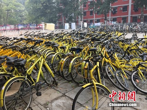 資料圖。北京某所高校內(nèi)的共享單車數(shù)量驚人。<a target='_blank' href='http://www.chinanews.com/' >中新網(wǎng)</a> 吳濤 攝