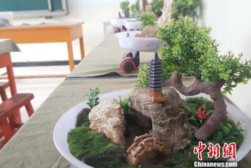 圖為學(xué)生制作的盆景?！＄娦?攝