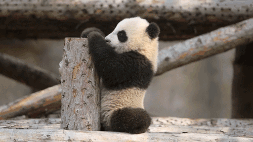 點擊進入下一頁