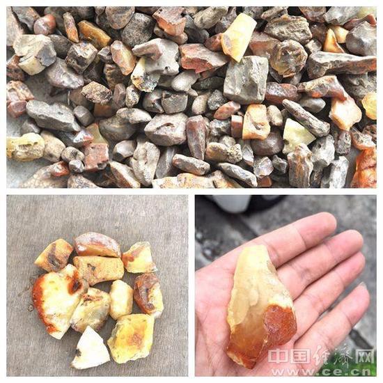 圖為深圳文錦渡海關(guān)關(guān)員查獲的走私琥珀原石。魏百臻攝