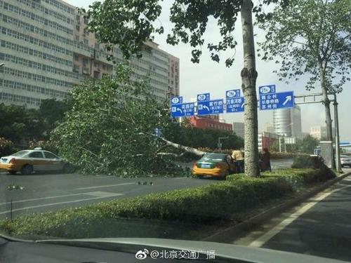 北京海淀一路人被大風(fēng)刮落的墜物砸中頭部身亡
